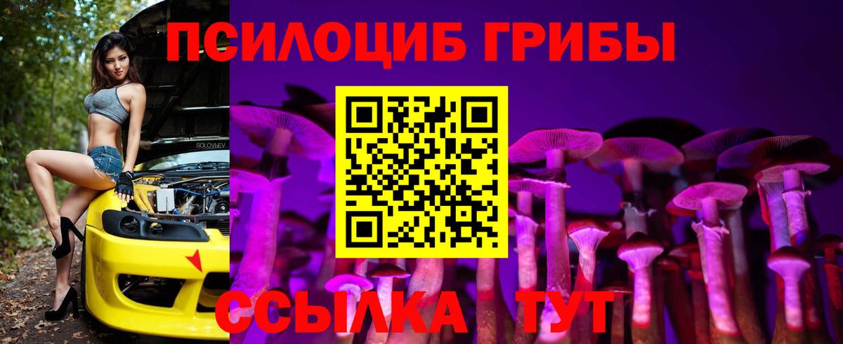 Псилоцибиновые грибы GOLDEN TEACHER Горно-Алтайск
